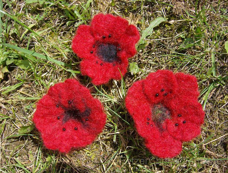 Mohn.JPG - Gefilzte Mohnbüten